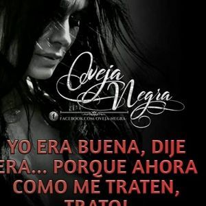 Meet your Posher, Luz